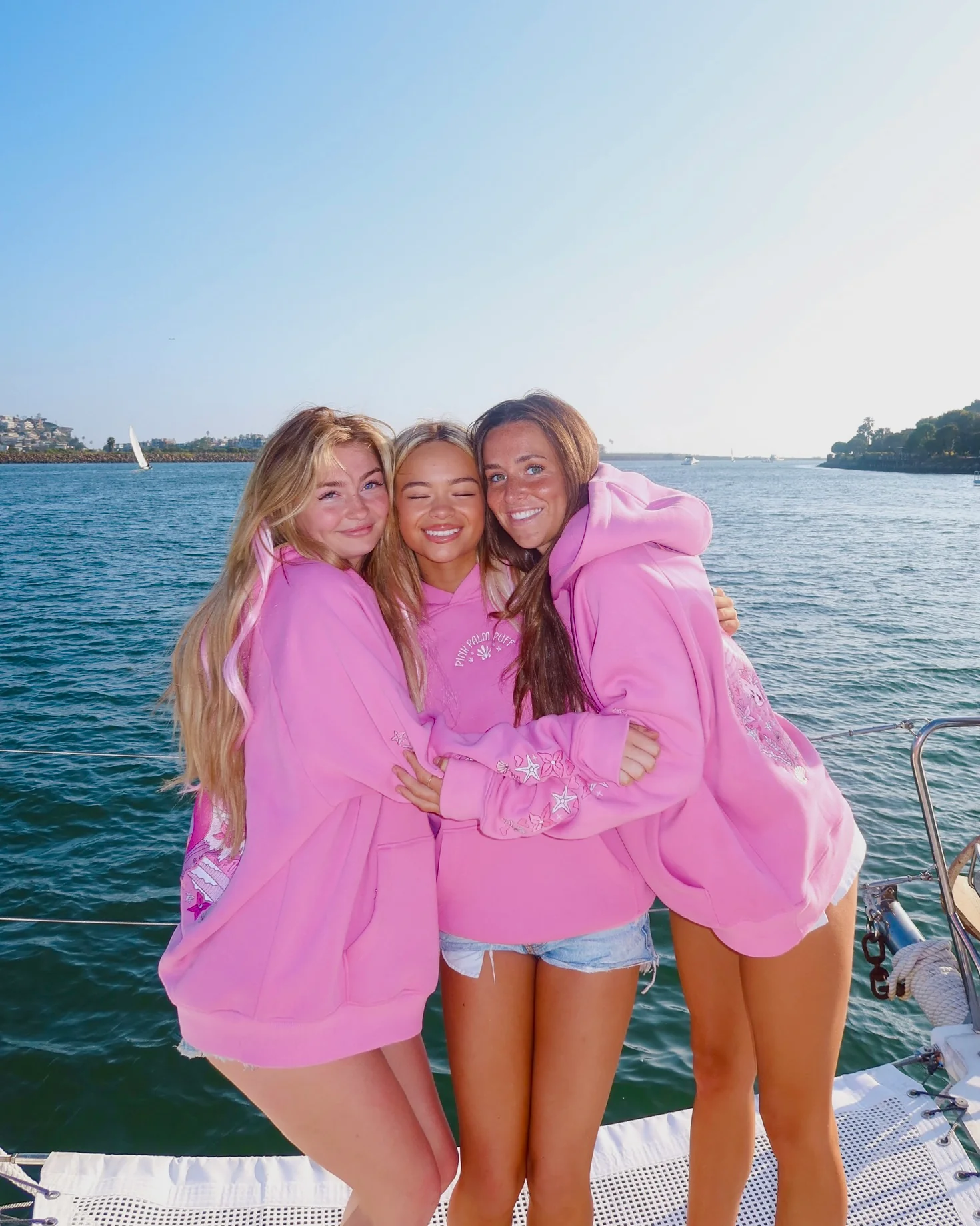 "Under the Sea" Relaxed Hoodie in Seashell Pink - Image 5